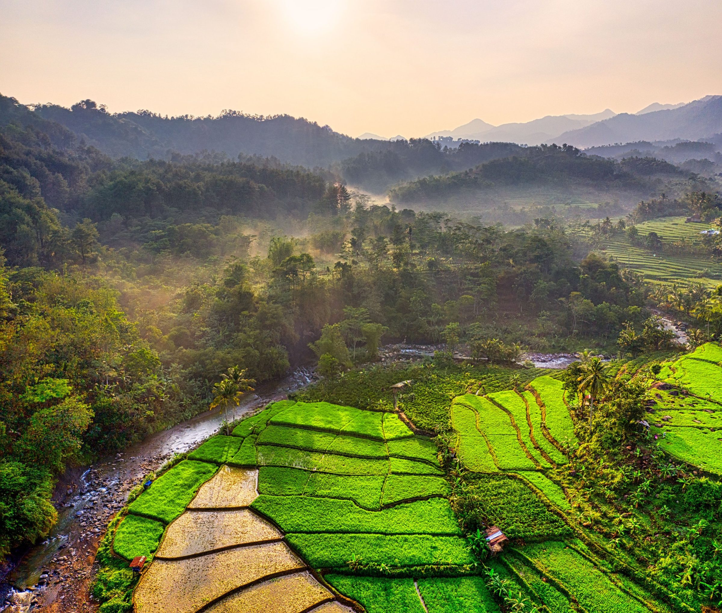 Sawah berundak dan sungai di lembah berkabut saat matahari terbit